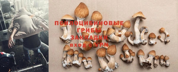 твердый Белокуриха